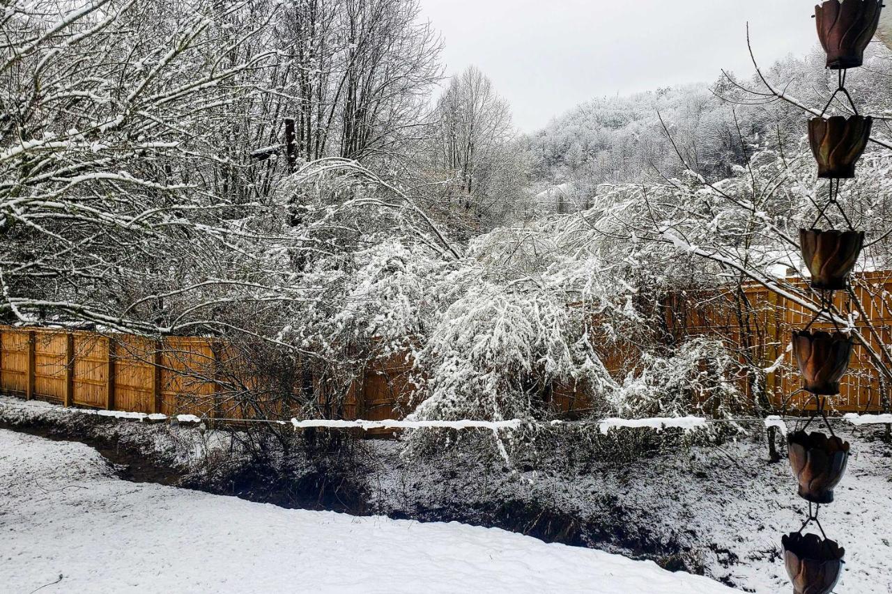 Smoky Mountain Vacation Rental With Hot Tub And Kayaks Whittier Eksteriør bilde